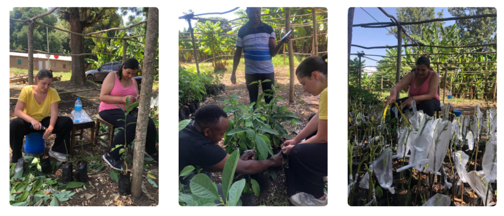 screenshot 2026 02 03 163258